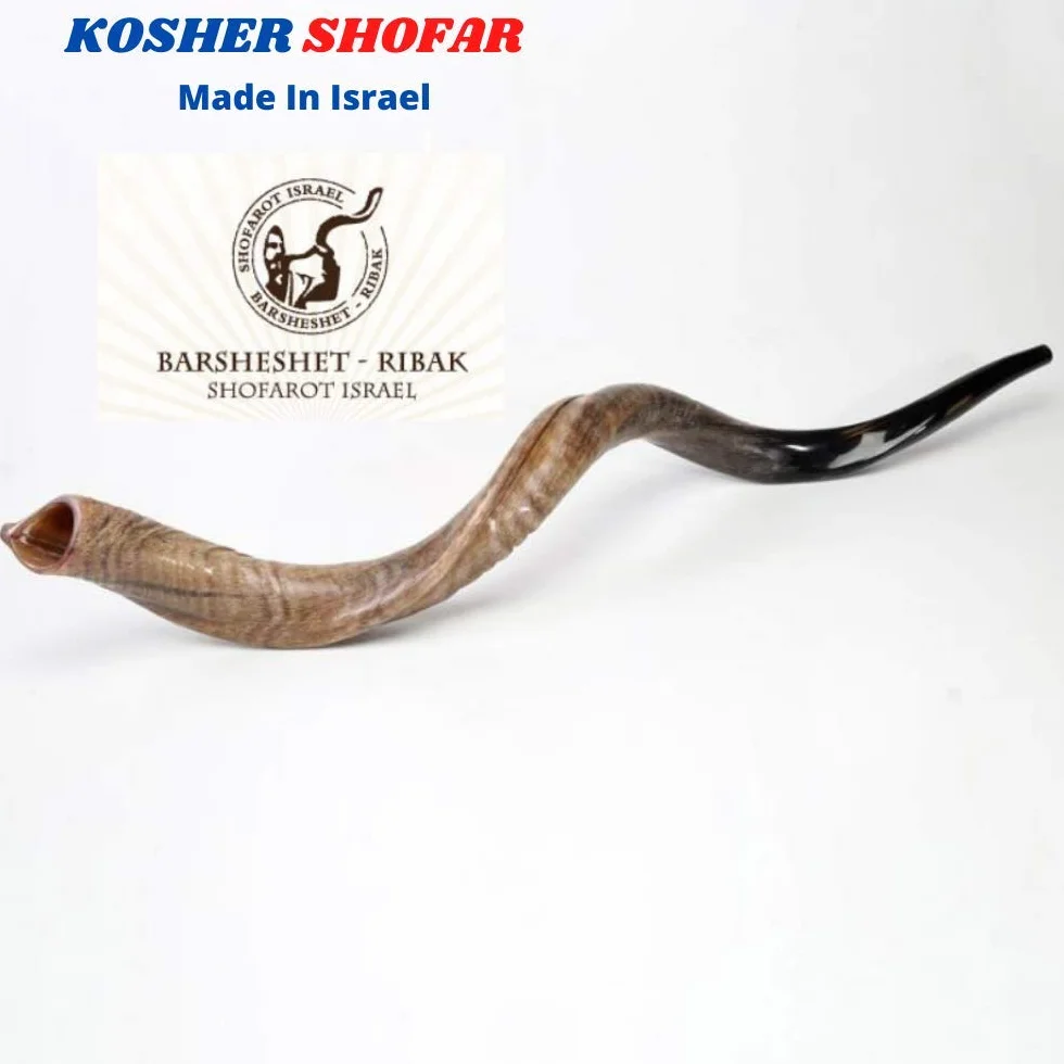 Cuerno kudu kosher auténtico kosher de 48 a 63 cm, judío Shofar, judío, Israel