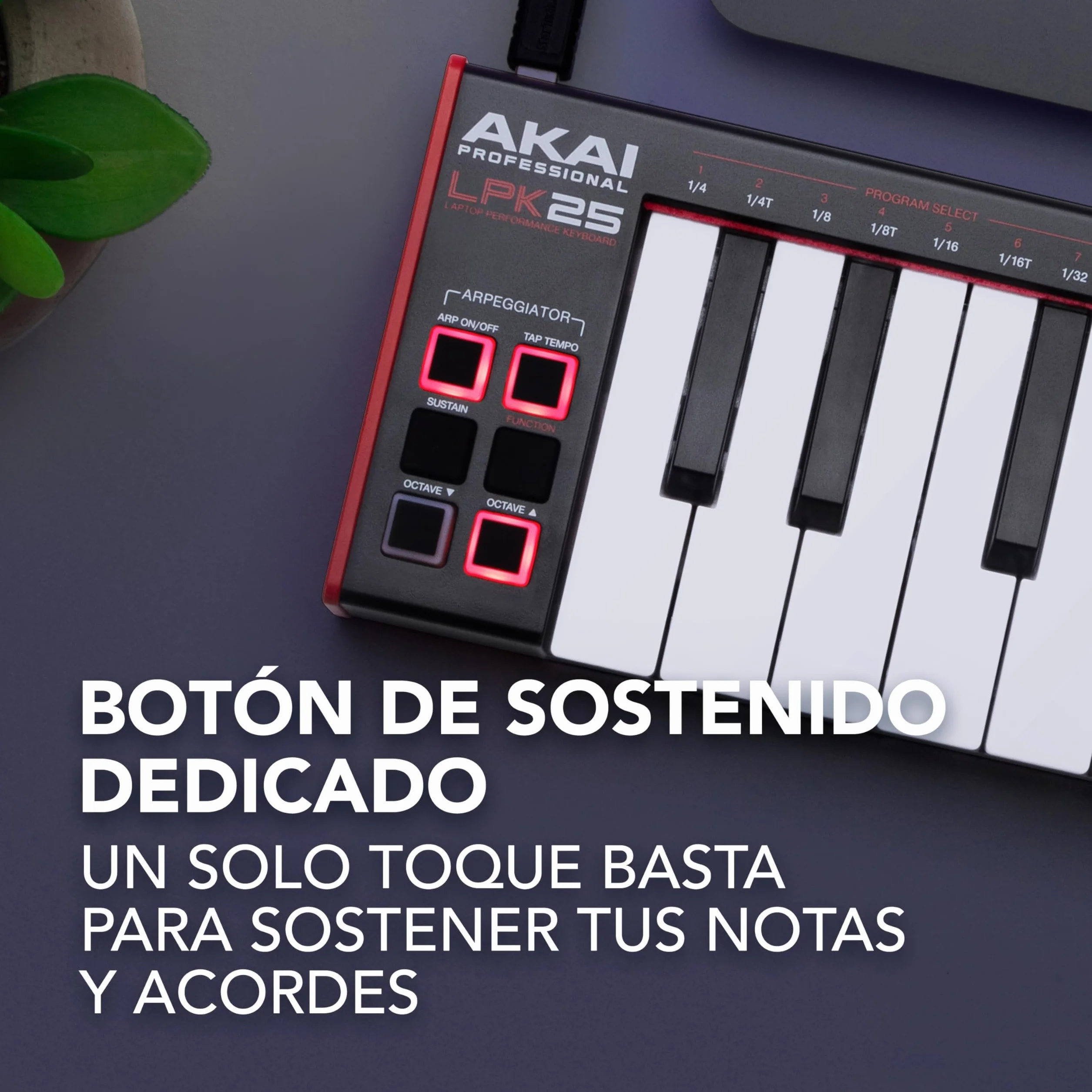 Akai Professional LPK25 MKII - Teclado Controlador MIDI USB con 25 Teclas de Sinte Sensibles para Mac y PC, Arpegiador y Software de Producción Musical
