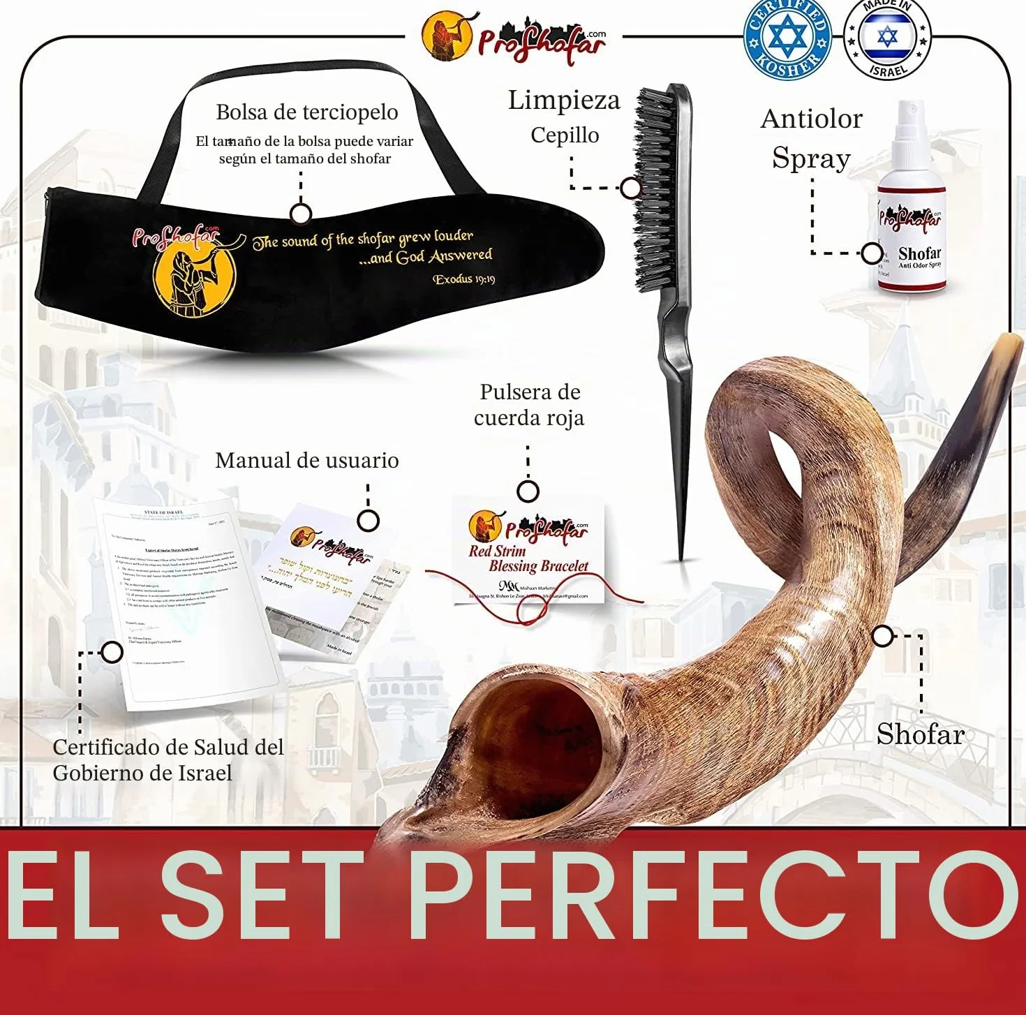 Shofar de Israel kosher - Shofar Natural Kudu Horn - Instrumento musical tradicional yemenita para ceremonias espirituales judías y sermones religiosos, fabricado en Israel