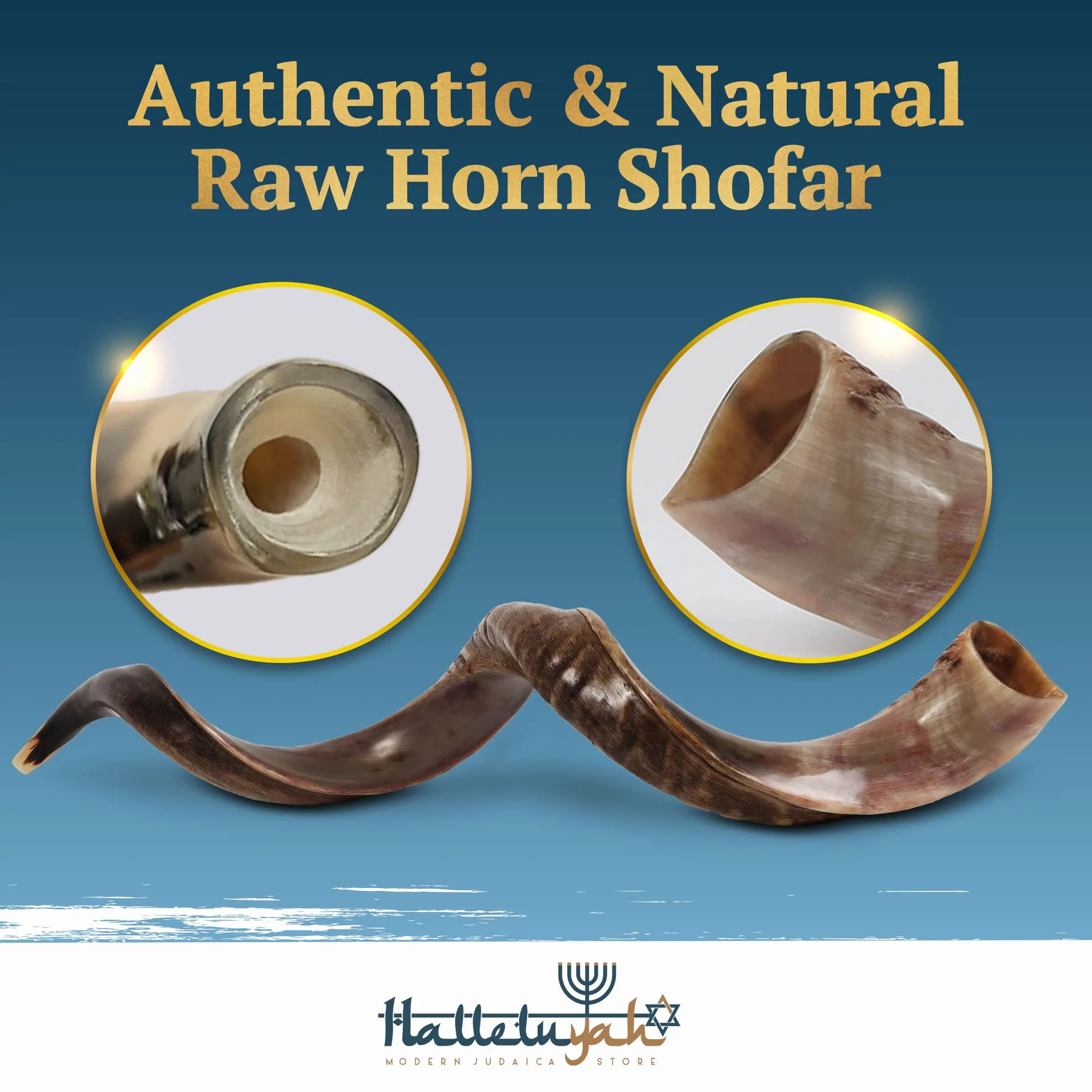 HalleluYAH Shofar kudu yemenita de Israel más cuerno de carnero gratis