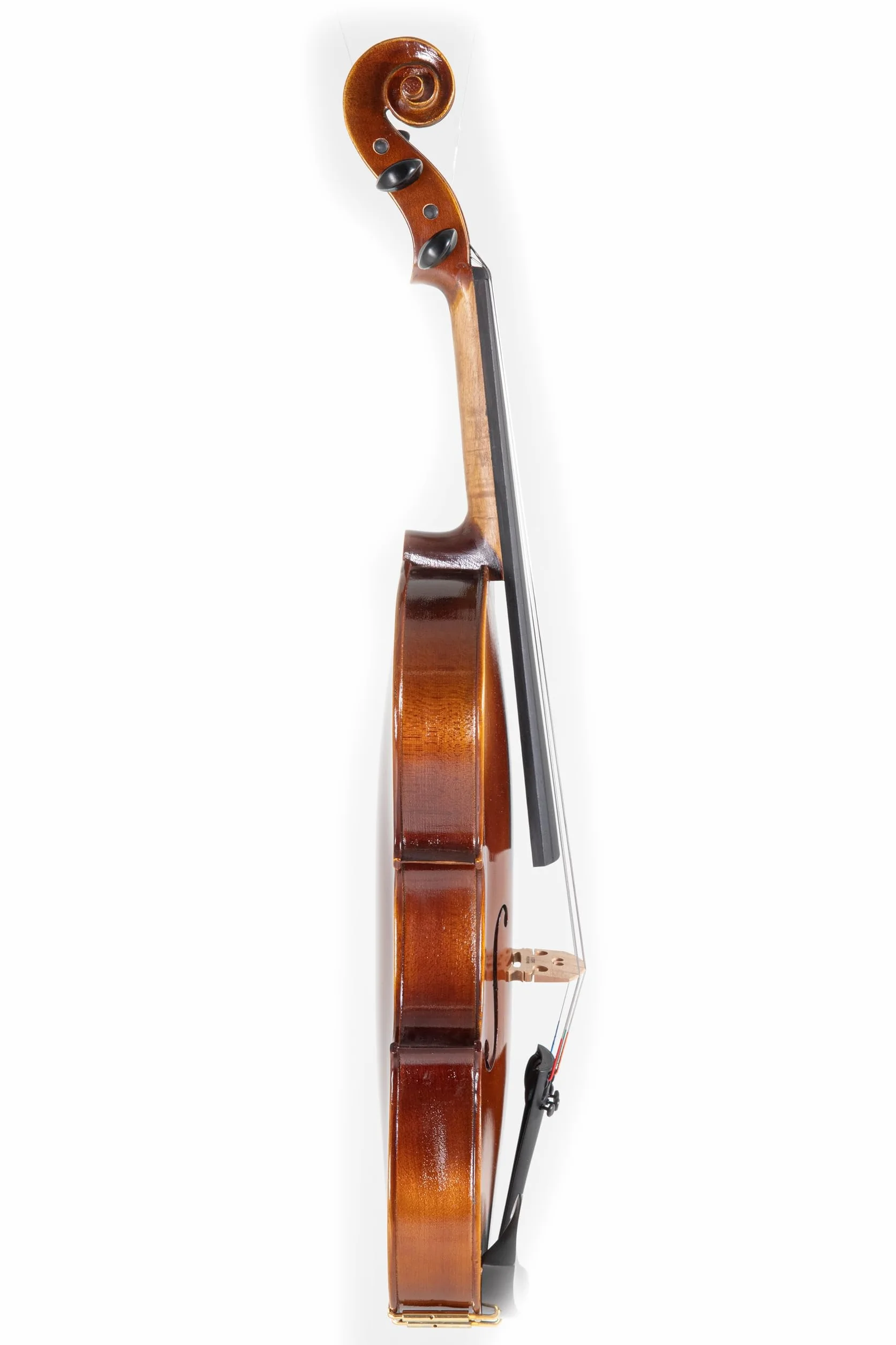 GEWA Juego de viola Allegro VA1 – 39,5 cm listo para tocar, incl. estuche para viola, arco de carbono, cuerdas Thomastik Infeld AlphaYue