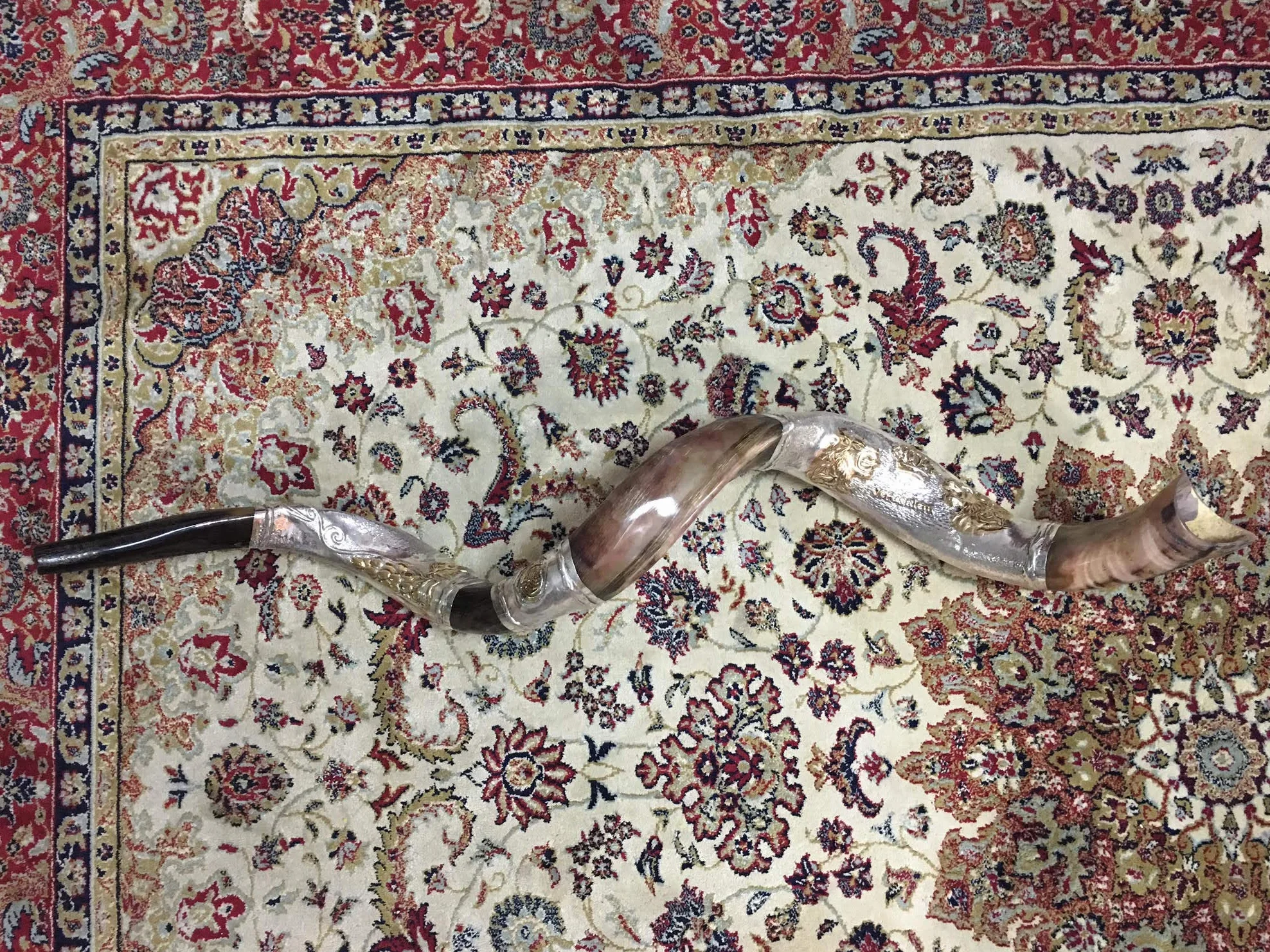 Silver - plated 44"- 45" Yemenite Horn Amazing Shofar Kudu Lion