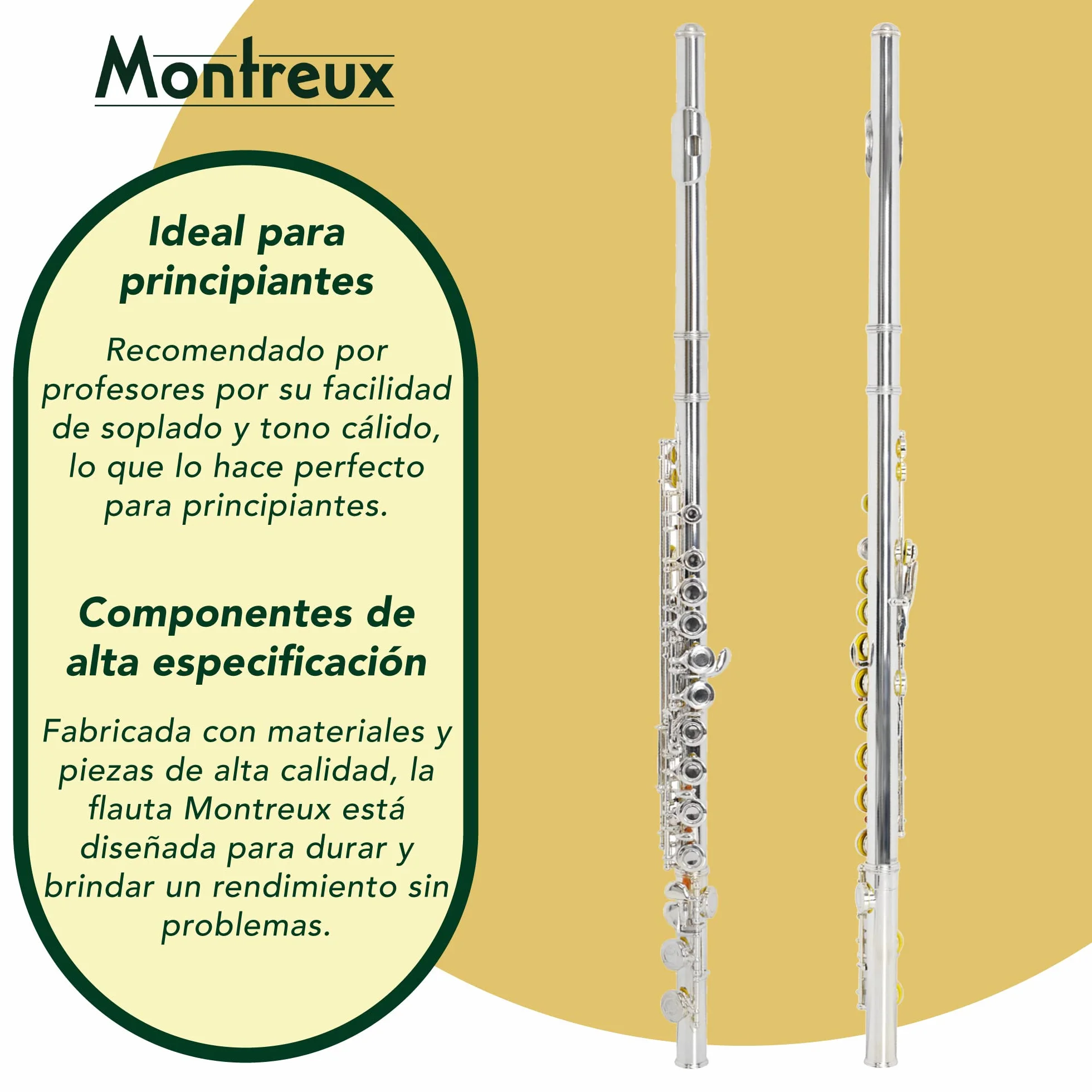 Montreux Flauta Estudiantil Para Principiantes Con Estuche De Transporte Protectora Ligera: Plateado Plateado, Compensación G, Mecanismo Dividido, Coal C