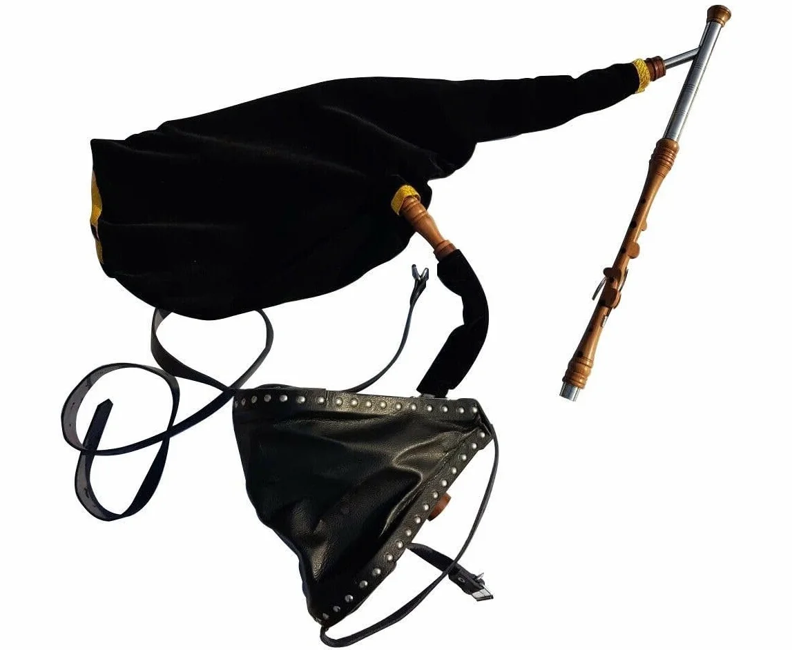 Irish Uilleann - Juego de práctica de pipas en D para estudiantes, para principiantes, juego de gaitas irlandesas con un cántico de 3 teclas, caña y un folleto guía para principiantes
