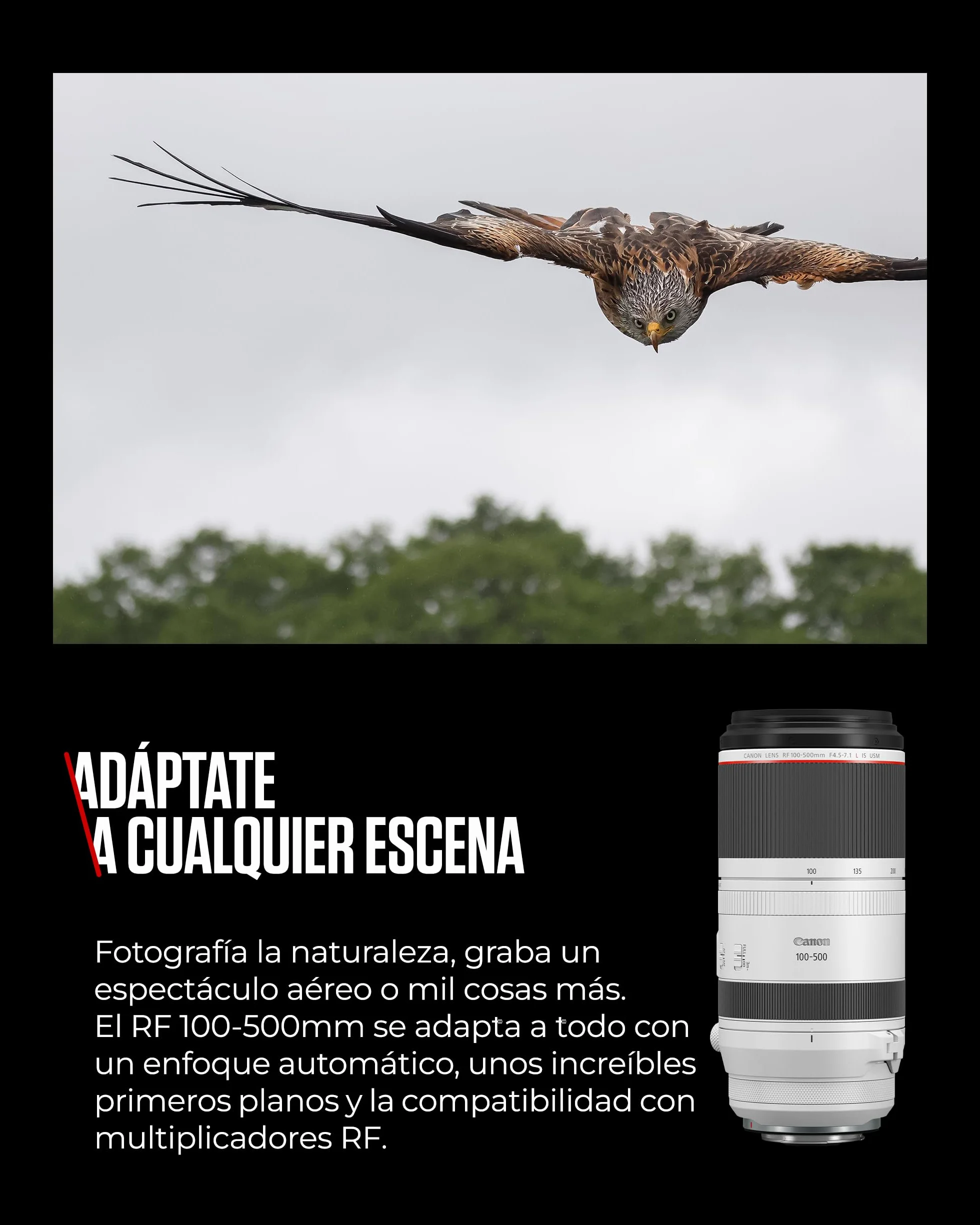 Canon Objetivo RF 100-500mm F4.5-7.1L IS USM - Lente Zoom Teleobjetivo Serie L, Ideal en Viaje y Naturaleza, Ligero, AF de Motores USM y estabilizador óptico 5 Pasos, Compatible Sistema EOS R, Negro