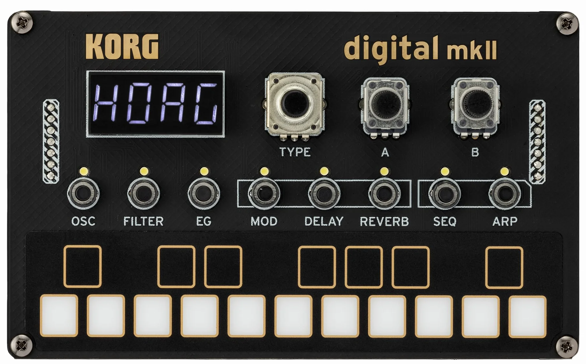 NTS-1 DIGITAL KIT MKII