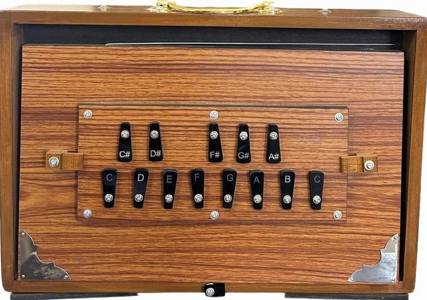Shruti Box Caja de madera de teca, caja Shruti para instrumentos musicales con bolsa afinada 440Hz, color natural (15 x 10 x 3 pulgadas)