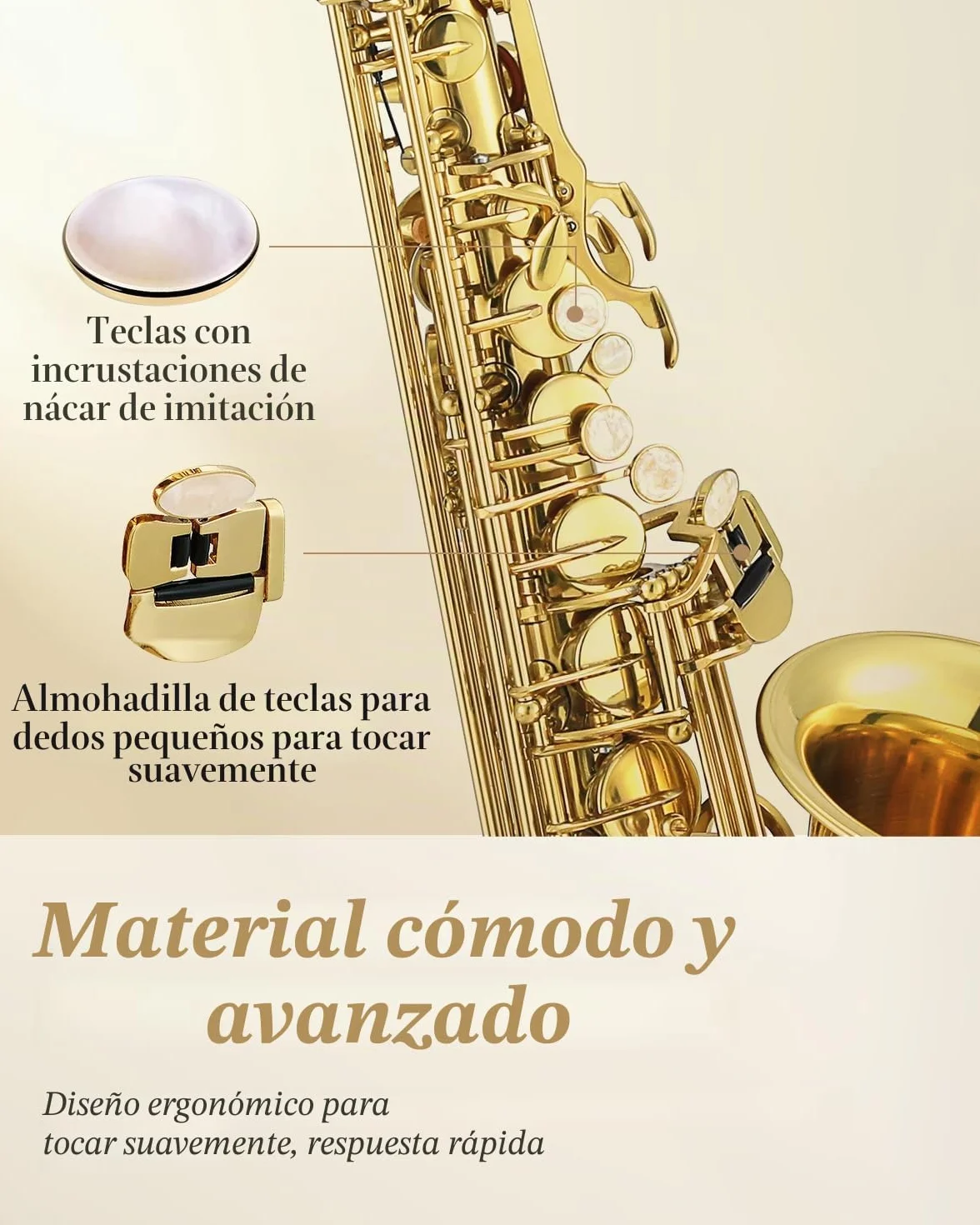 Eastar AS-Ⅲ Commander E Flat Wind Band Saxophone，Beautiful Gold +Eastar ERD-ASS1 Eb Saxophone Reeds, Strength 3, 5-pack