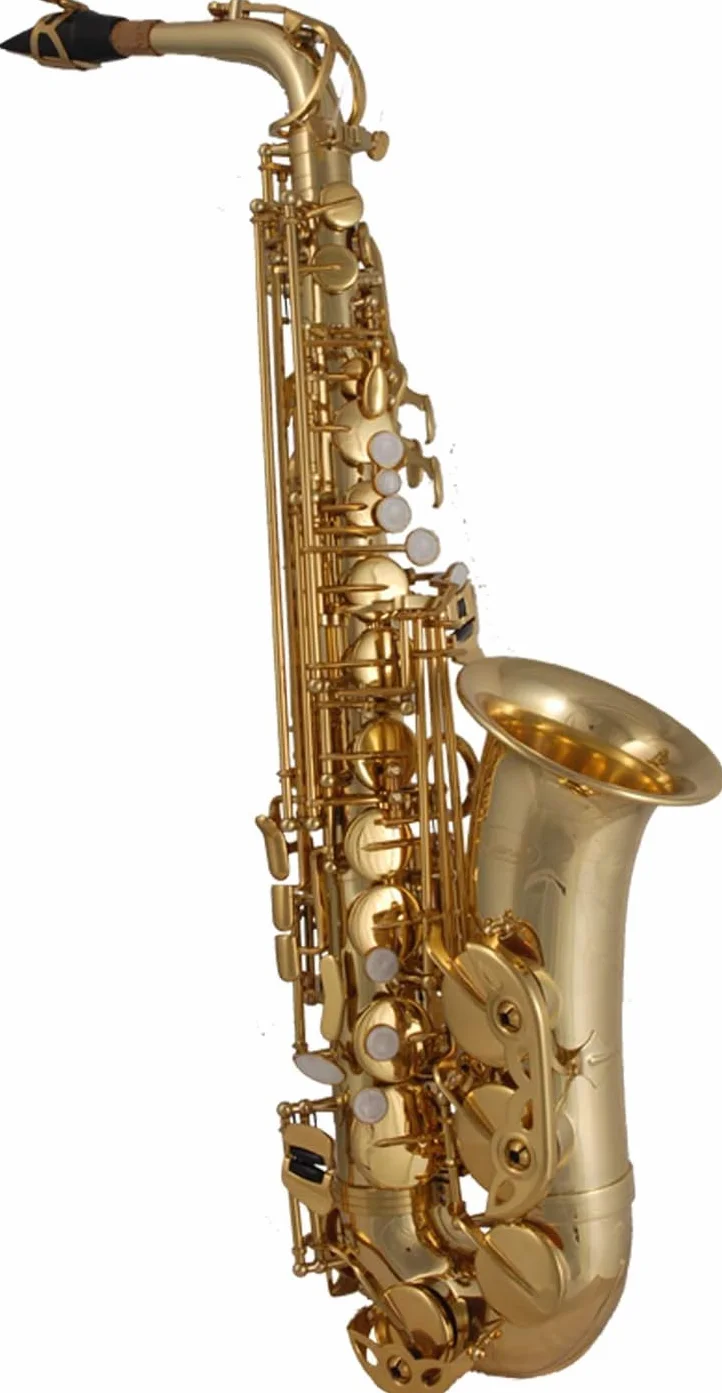 TAS-135 saxofón alto en Mi♭ completo con estuche resistente, boquilla Soundman D5, curso de saxofón “Alto Saxophone Basics” (set de inicio)