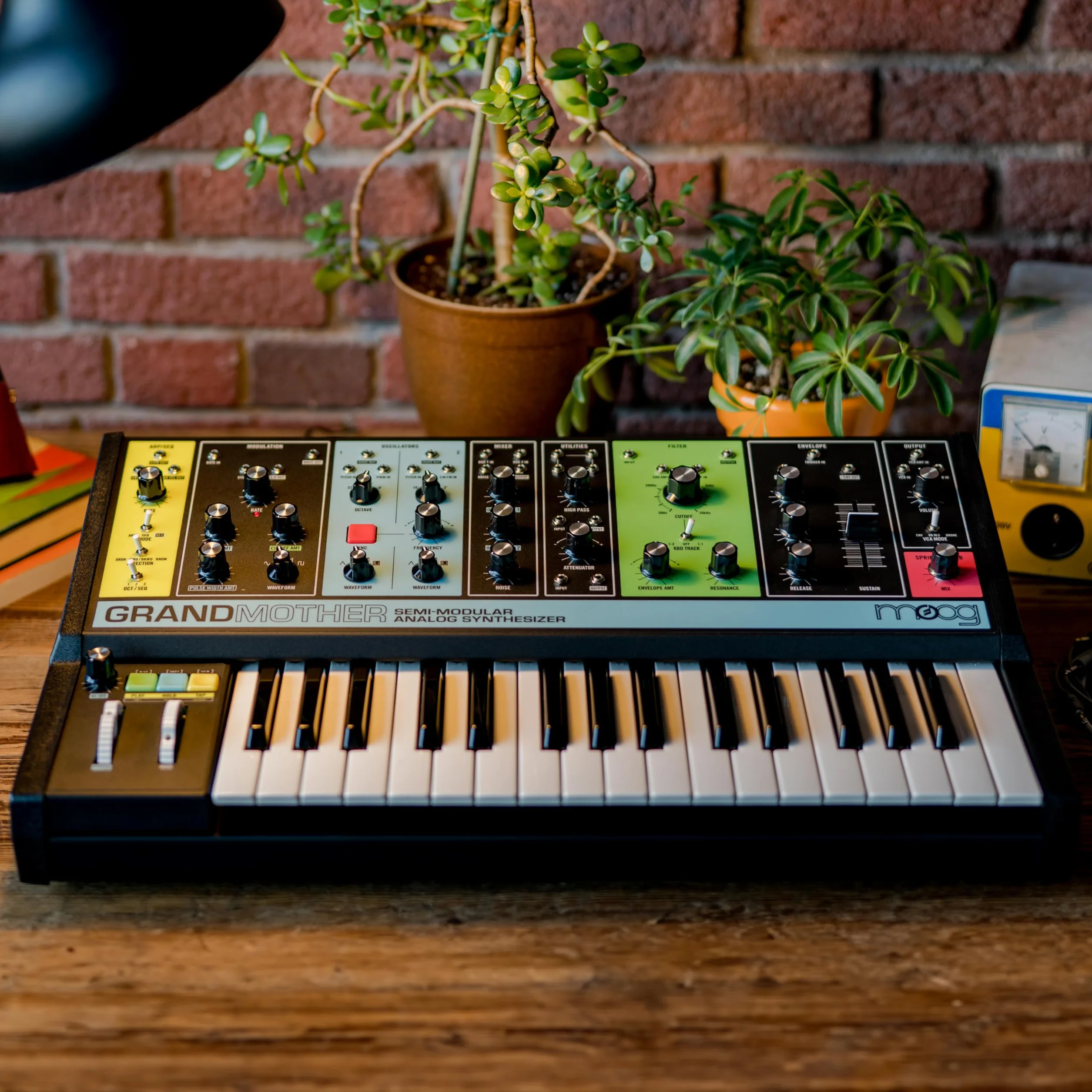 MOOG Grandmother - Sintetizador Semimodular de Teclado Analógico con 32 Teclas, Arpegiador, Secuenciador y Tanque de Reverb de Muelles Integrados