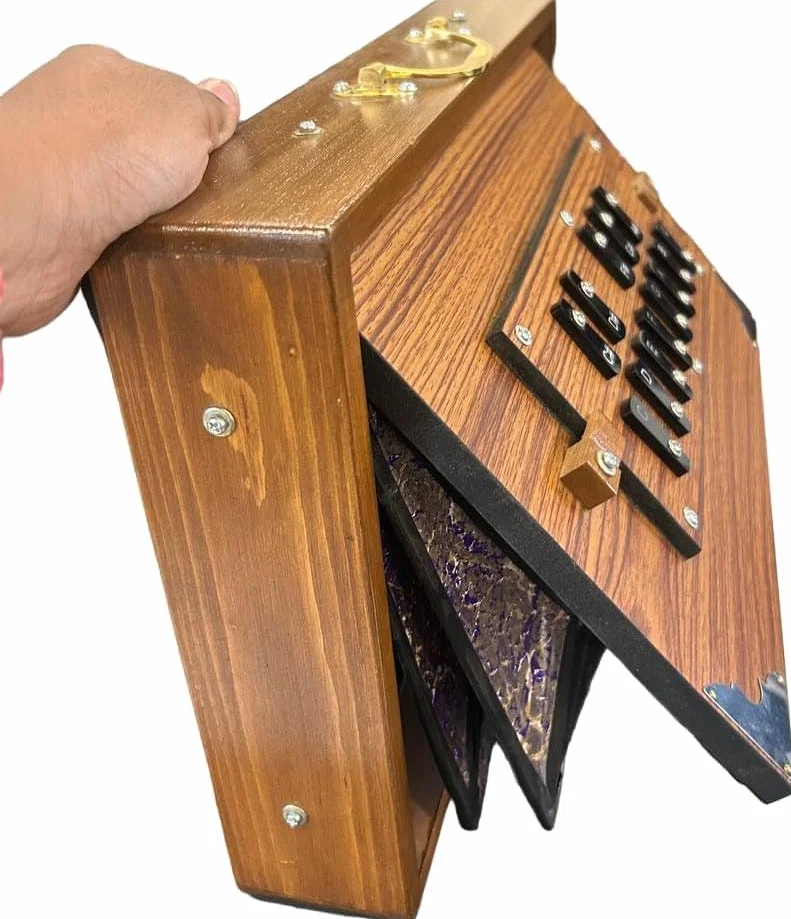 Shruti Box Caja de madera de teca, caja Shruti para instrumentos musicales con bolsa afinada 440Hz, color natural (15 x 10 x 3 pulgadas)