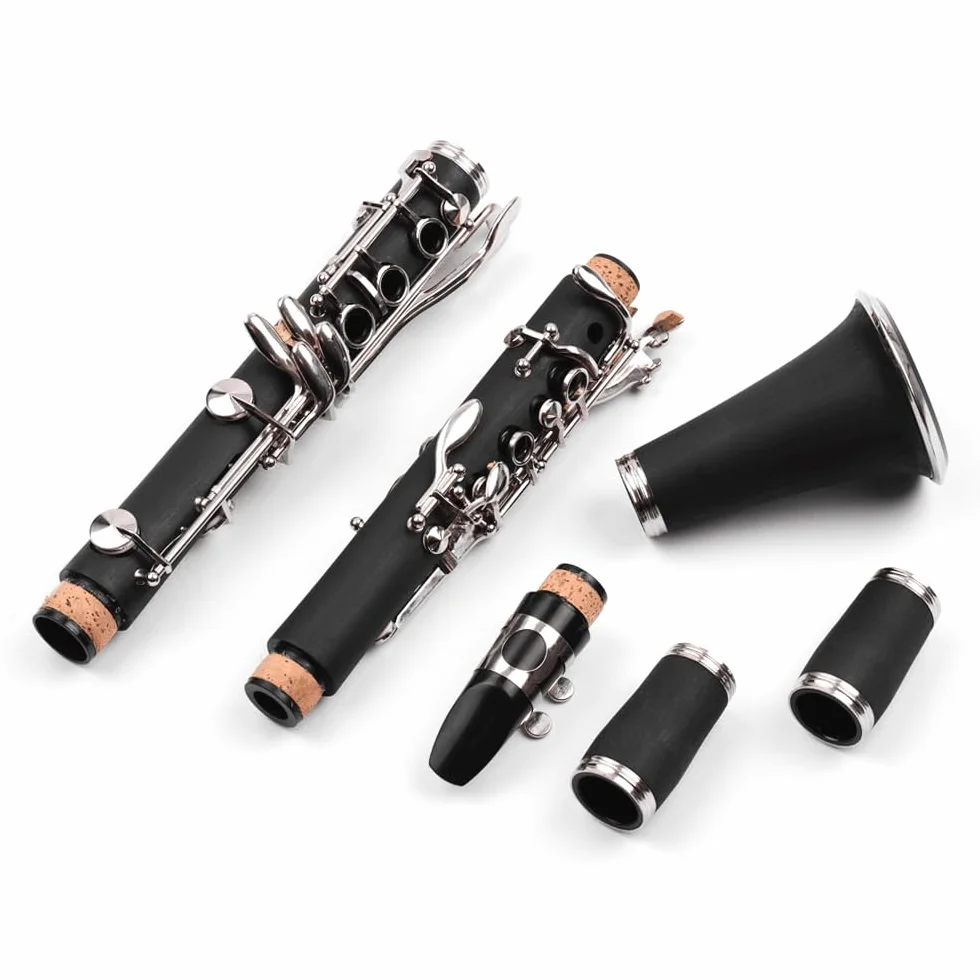 Clarinete ABS 17 llaves bB, clarinete binocular plano de soprano, incluye paños de limpieza y guantes, 10 cañas con estuche, destornillador, instrumento de viento de madera