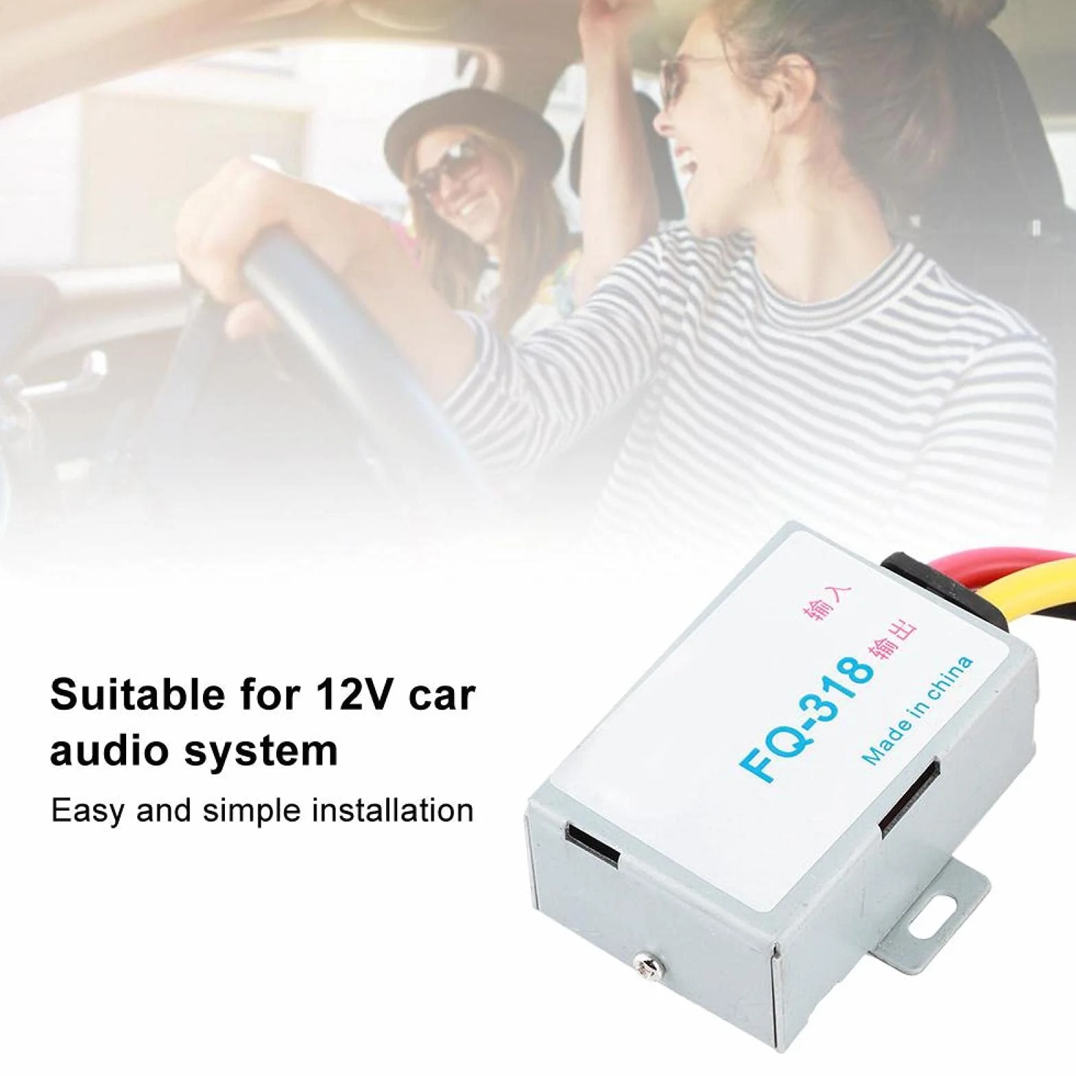 Filtro de audio, amplificador reductor de ruido, filtro de potencia de audio, reductor de supresor de ruido estéreo para sistema de audio de coche de 12 V
