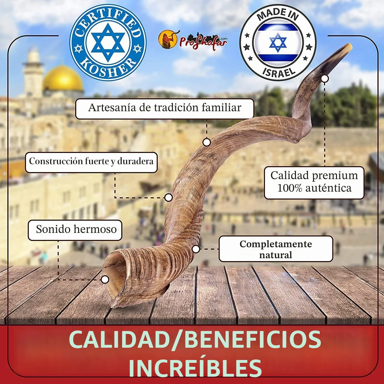 Shofar de Israel kosher - Shofar Natural Kudu Horn - Instrumento musical tradicional yemenita para ceremonias espirituales judías y sermones religiosos, fabricado en Israel