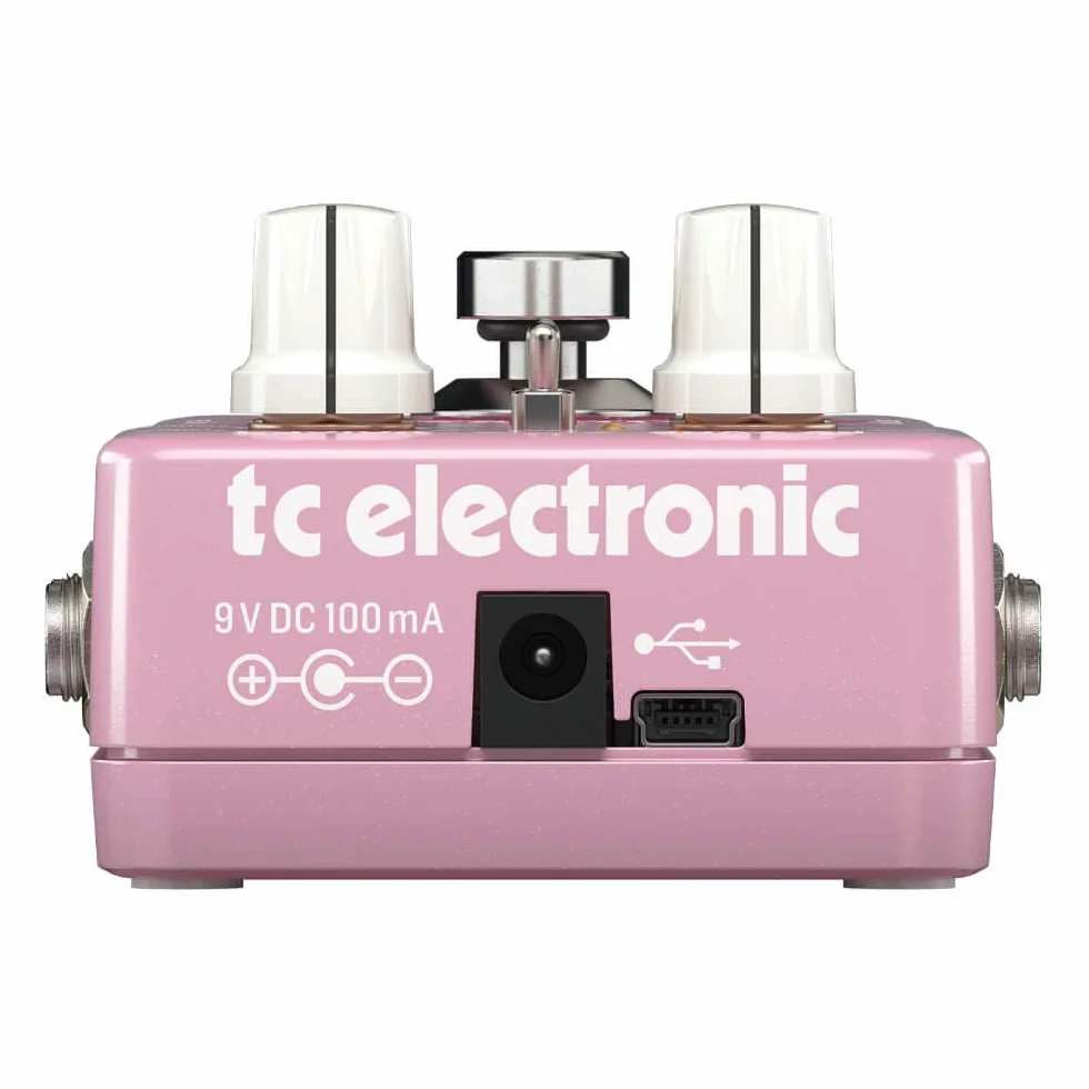 TC Electronic BRAINWAVES PITCH SHIFTER Cambiador de tono excepcional con algoritmos de grado de estudio, voces duales de 4 octavas y pedal MASH innovador
