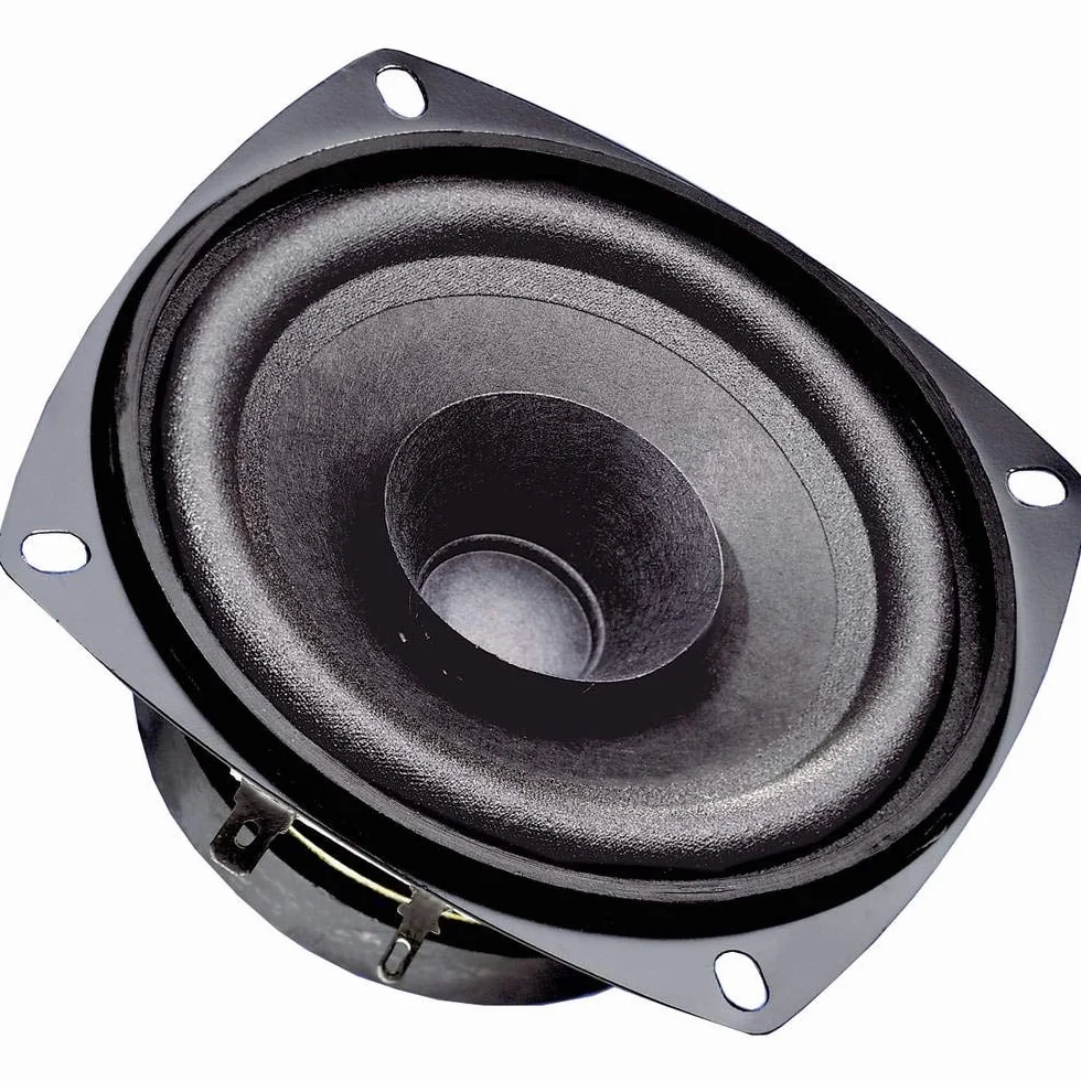 Visaton FR 10 altavoz 30 W Negro - Altavoces (Alámbrico, 30 W, 80 - 20000 Hz, 4 Ω, Negro)