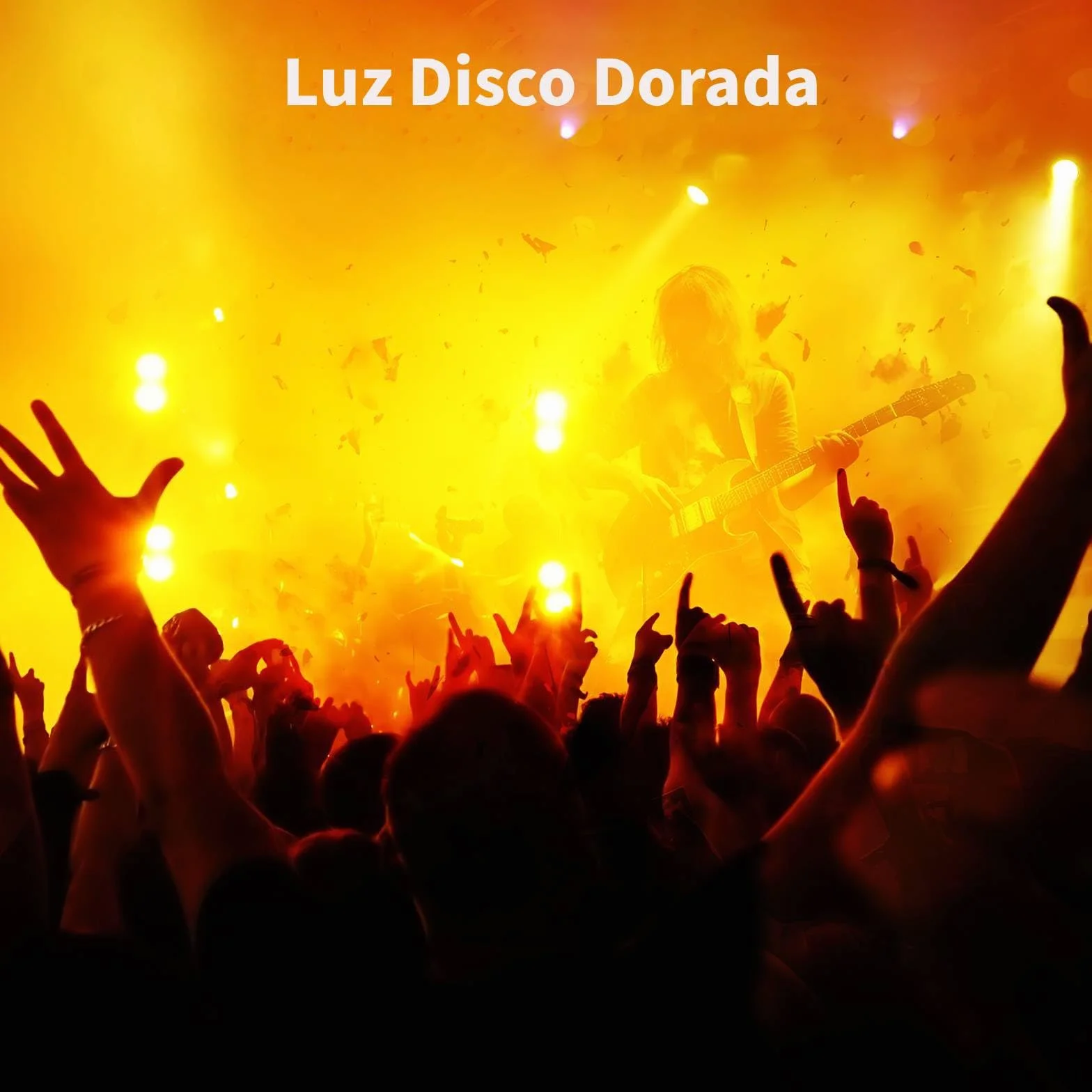 Luces Discoteca Controlada por Música con DMX512, Luz UV & Bola Disco - Luces DJ para Club, Fiesta, Evento, Boda, Halloween