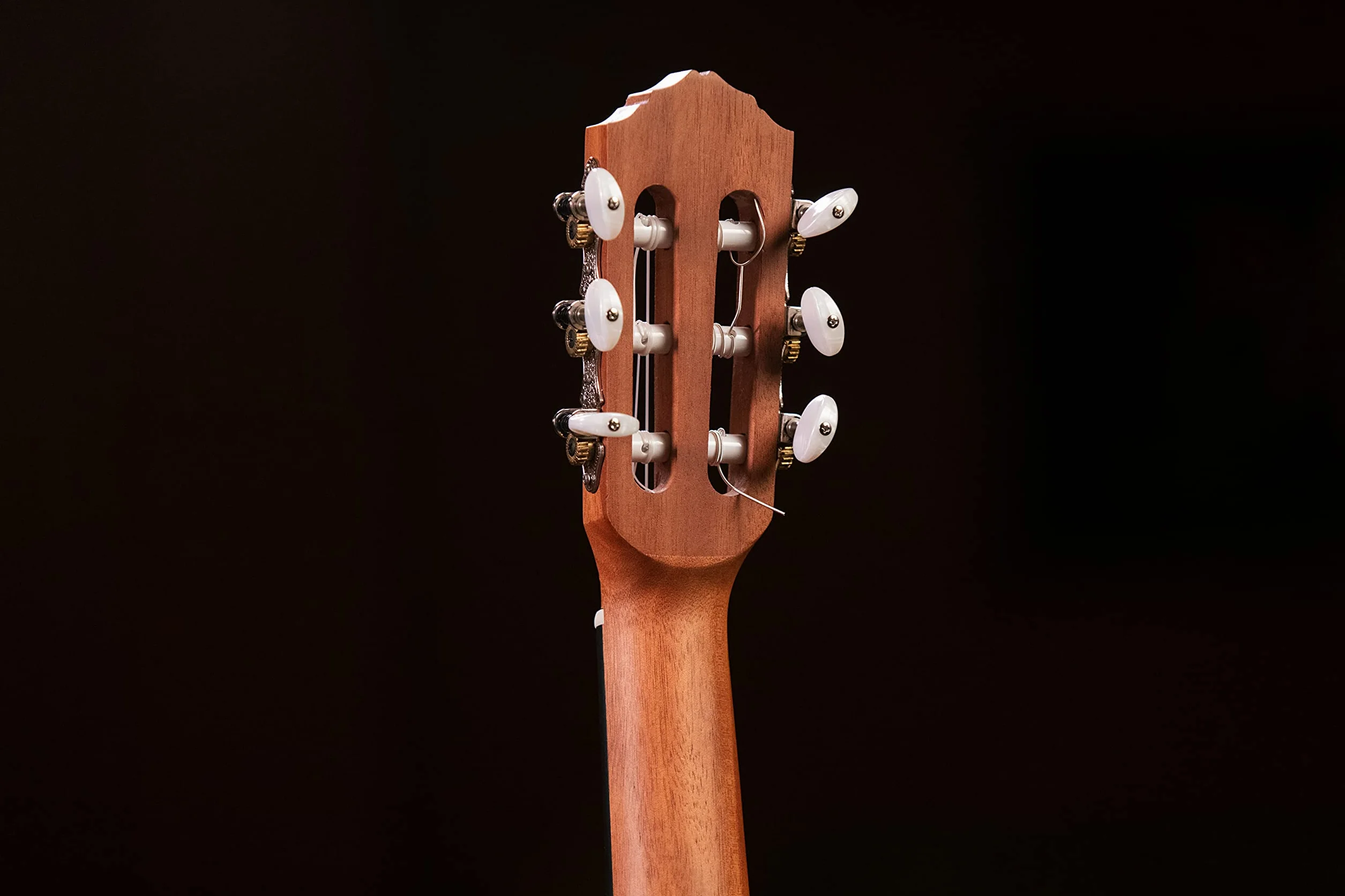 Ortega Guitars Travel Guitar acústica - Mini/Travel Series - Guitarlele 6 cuerdas - tapa de abeto grabado a laser (RGL5)
